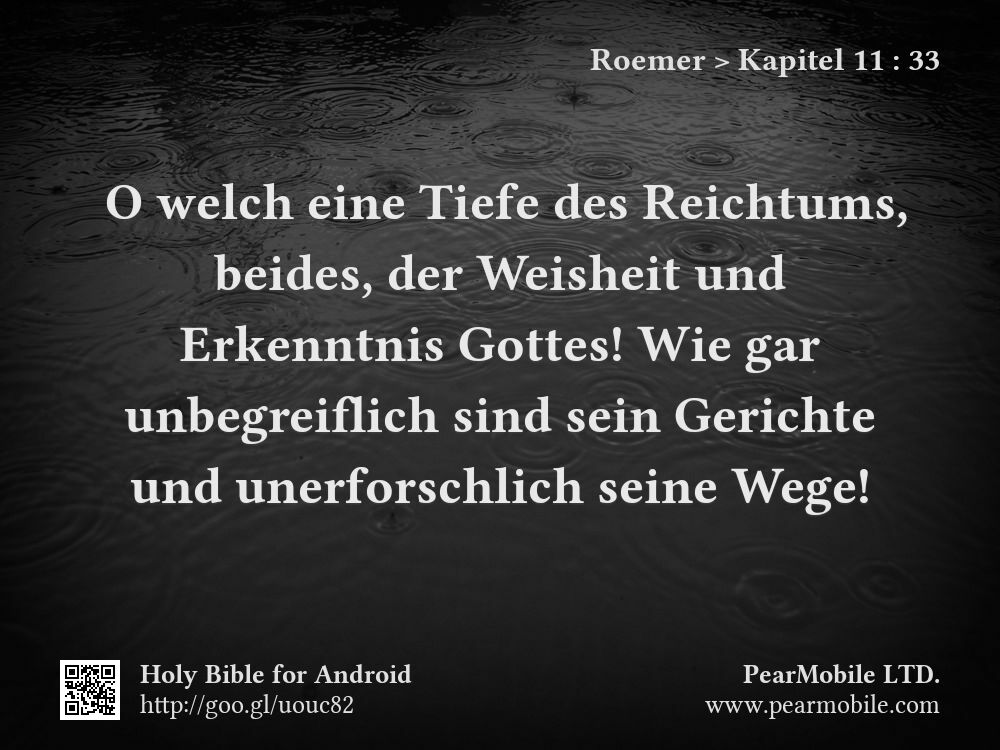 Roemer, Kapitel 11:33